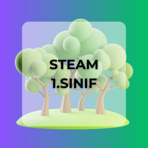 1.⁠ ⁠Sınıf STEAM Proje Paketi
