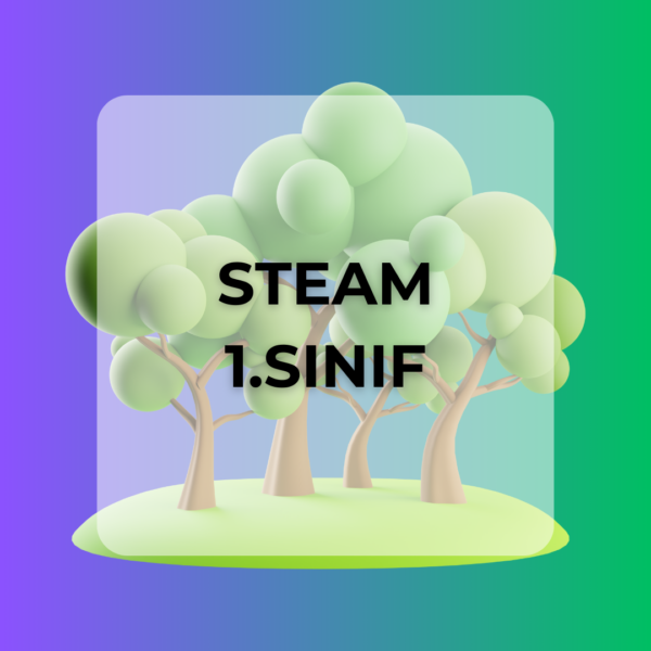 1.⁠ ⁠Sınıf STEAM Proje Paketi